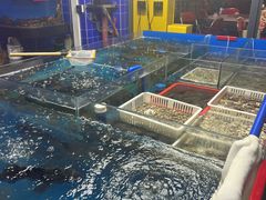-明本湛江鸡•海鲜小厨(陈家祠店)
