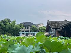 -莫催咖啡