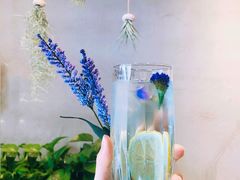 紫衣风铃气泡水-ZING COFFEE 镜咖啡