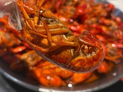 -海岛八号龙虾烧烤田鸡(蓝天路总店)