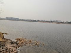 -绿堤公园