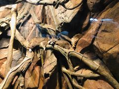 -波塞冬旅游度假区