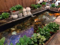 -有梦特色餐厅(古子城店)