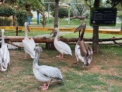 -南京金牛湖风景区
