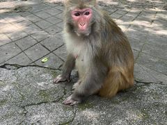 -黔灵山公园