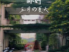 -美的鹭湖森林度假区
