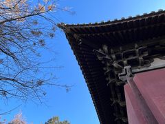 -善化寺