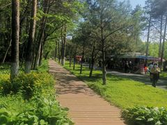 -黑龙江省森林植物园