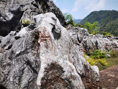 -千岛湖石林