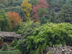 -九龙潭景区