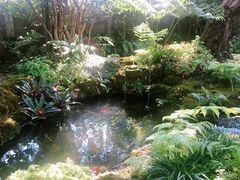 -Chom Cafe and Restaurant