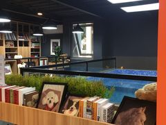 -宠宠熊宠物美容(星湖街店)