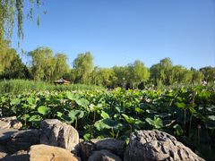 -太阳宫公园