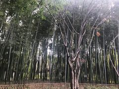 -汇龙潭