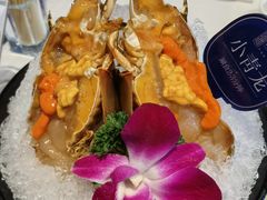 -海月轩海鲜豆捞(紫金塔店)