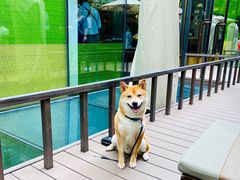-北京瑜舍