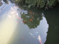 -檀园