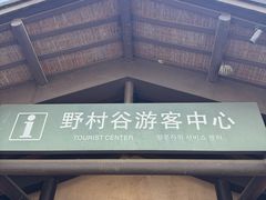 -黄陂区野村谷景区