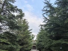 -迎泽公园