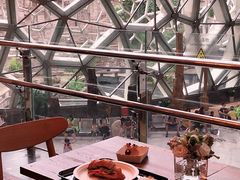 -1868 Café(上海自然博物馆店)