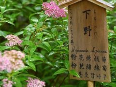 -天龙寺