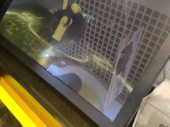 -快乐柠檬happylemon(日月光店)