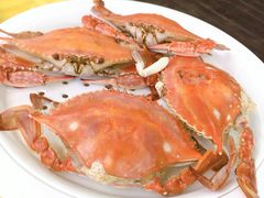 -叶存利海鲜大馅饺子(东戴河止锚湾店)