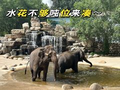 -北京野生动物园