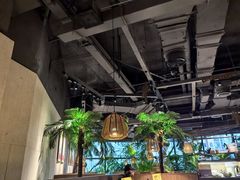 -大头椰·椰子鸡火锅(南宁万象城店)