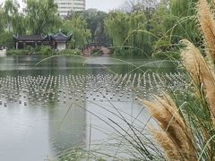 -北湖公园