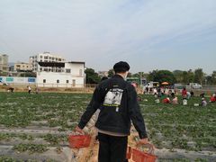 -光明刘冰乳鸽店(光明法政北路店)