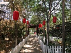 -草根堂农场