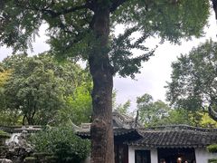 -豫园