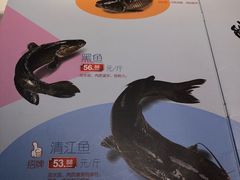 -鱼酷活鱼烤鱼(沈阳大悦城店)