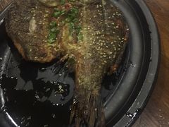 -龚海宝· 烧烤· 羊肉原切挂糊更好吃(庄市店)
