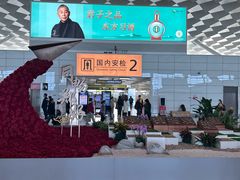 -郑州新郑国际机场-T2航站楼