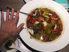 -九毛九西北菜(百信广场店)
