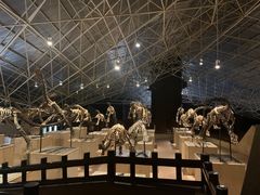 -世界恐龙谷景区