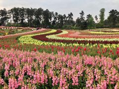 -保利石象湖景区