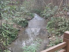 -桤木河湿地公园