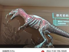 -自贡恐龙博物馆