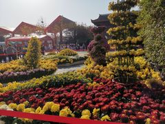-武汉园博园(武汉自然博物馆)