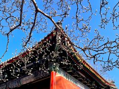 -北京艺术博物馆(万寿寺)