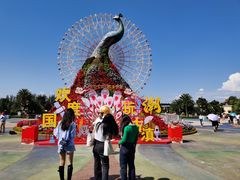 -七彩云南欢乐世界