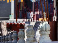 -护国法轮寺