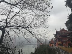 -龙泉洞(沙坪坝区)