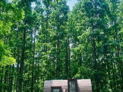 -黄海国家森林公园