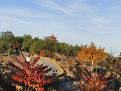 -白水寺森林公园