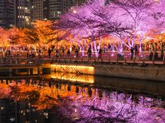 -西北湖绿化广场