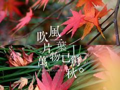 -黄公望隐居地